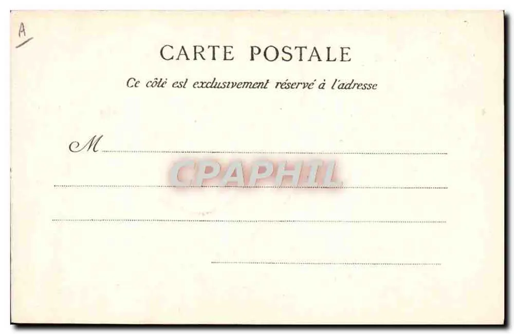 S.S. Pius X — Offizielles Portrait, erstellt im Vatikan — Heliotypie E. La Doleÿ, Paris - Rückseite