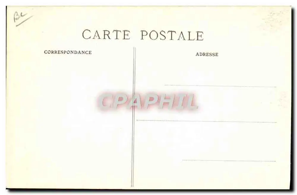 Saumur (M.-et-L.) — Pferd in Freiheit — Gefährliche Courbette — Fr. Voelcker, phot. Saumur, abgegeben - Rückseite