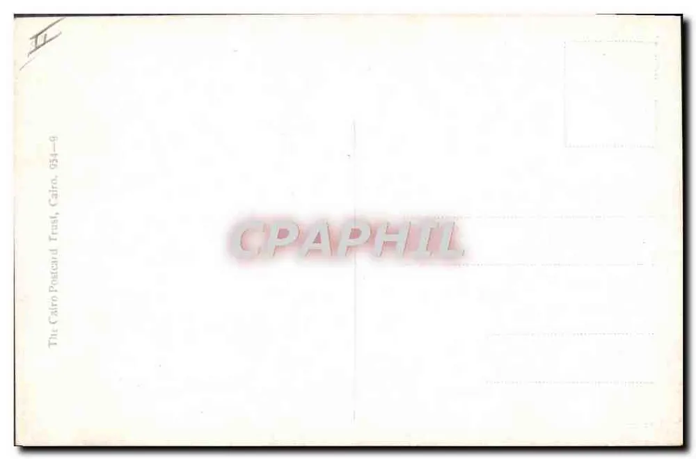 Jäger in der Wüste — fliehende Gazellen — The Cairo Postcard Trust, 954-6 - Rückseite
