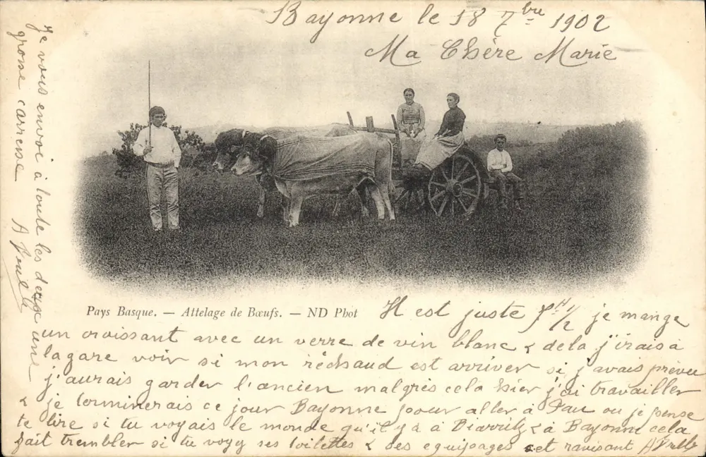 País Basco — Tração de Bois — ND Phot - Frente