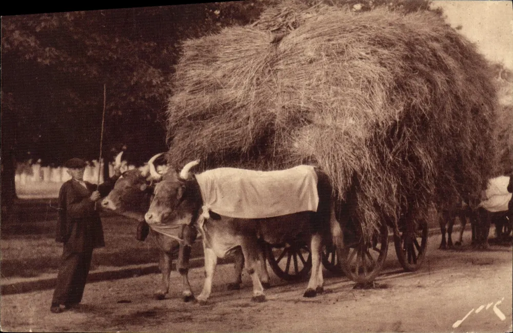 Atrelado de vacas — Camponês com atrelado carregado de feno — Edições Jové, Pau (B.P.) - Frente