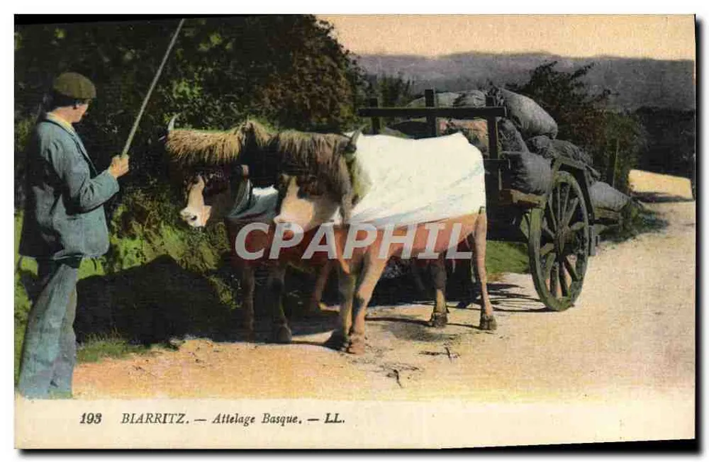 Biarritz — Carroça Basca — LL. — n°193 - Frente