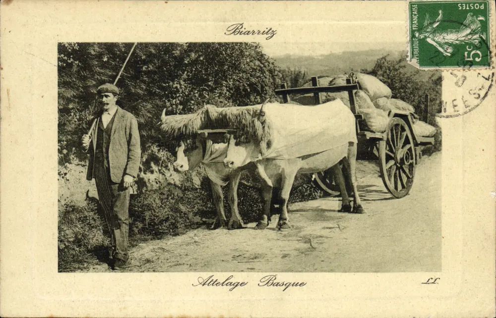 Carruagem basca — Biarritz — editor P. IRIDOU, n° LL - Frente