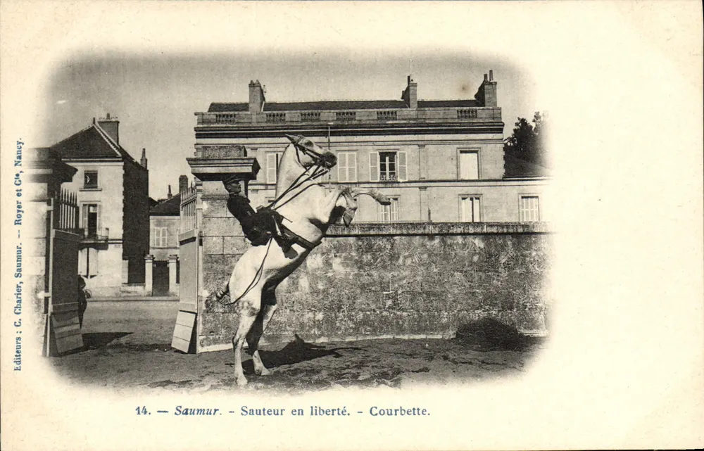 Saumur - Springreiter in Freiheit - Courbette — Verleger: C. Charier, Saumur. Royer et Cie, Nancy. Nr. 14 - Vorderseite