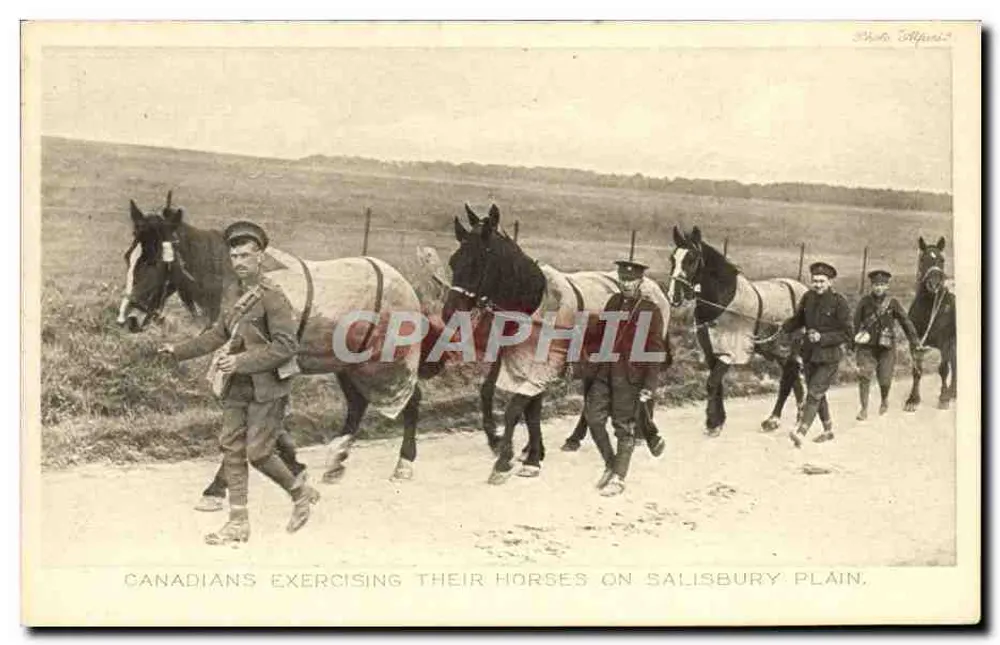Kanadier, die ihre Pferde auf Salisbury Plain üben — Tuck's Post Card, Serie II, Nr. 4324 - Vorderseite
