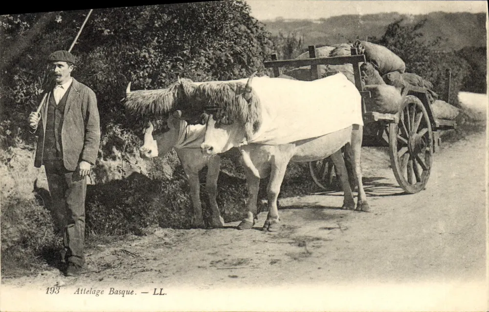 Attelegage Basque — LL. — 193 - Frente
