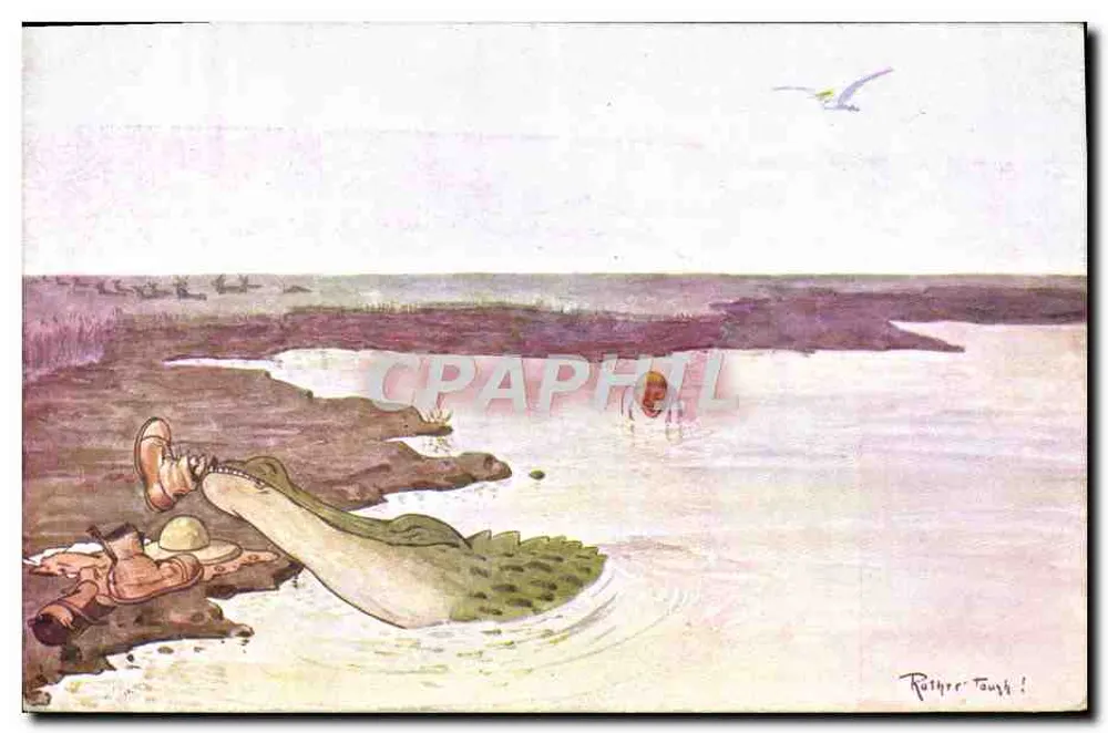 Crocodilo — cena humorística — The Cairo Postcard Trust, Cairo, 1954-11 - Frente