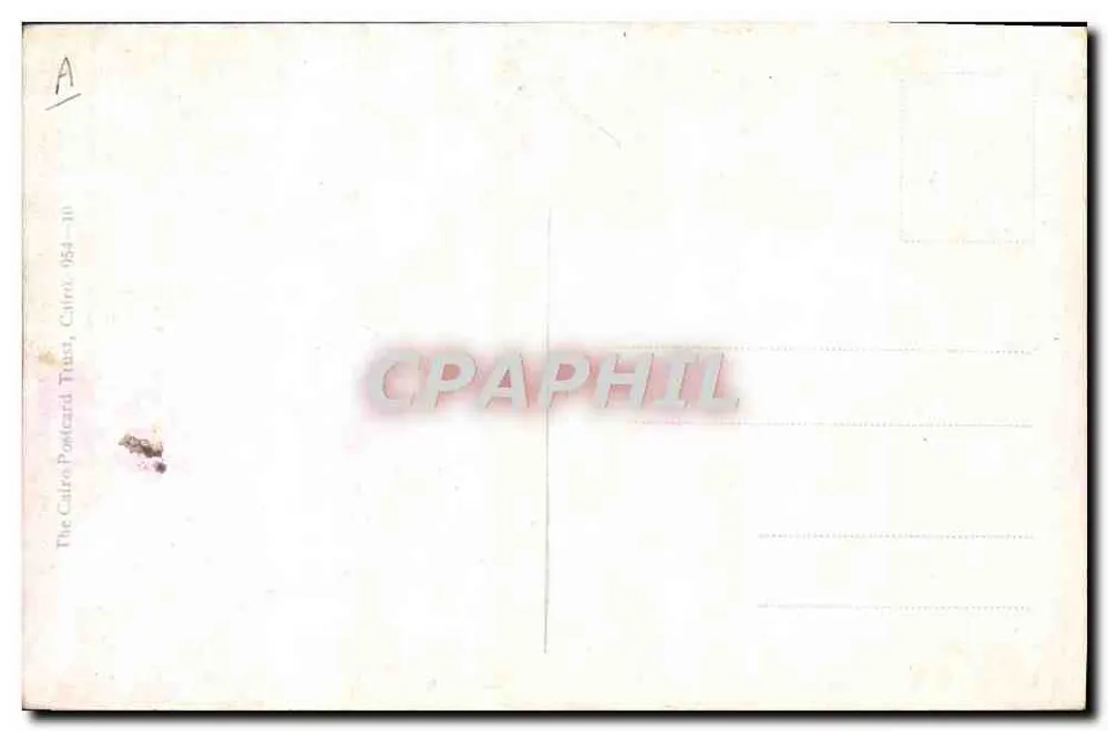 Crocodilo — cena humorística — The Cairo Postcard Trust, Cairo, 1954-11 - Verso