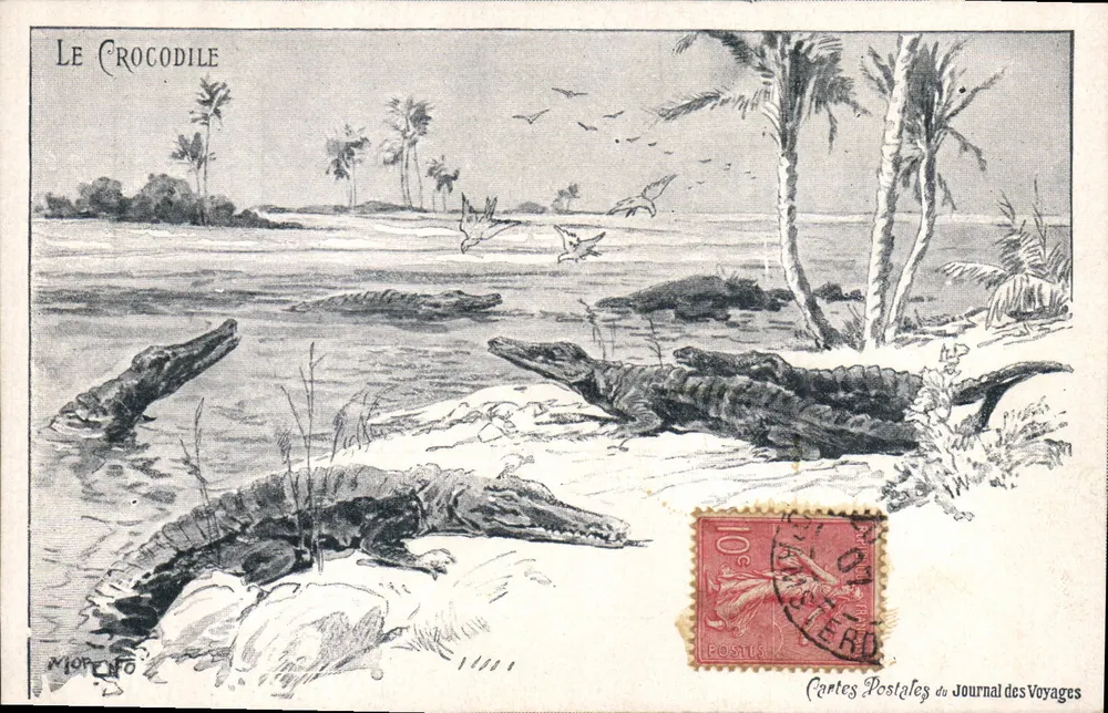 O Crocodilo — cena tropical com crocodilos e palmeiras — Cartes Postales du Journal des Voyages - Frente