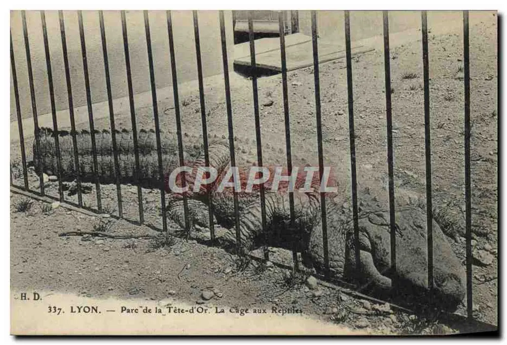 LYON — Parc de la Tête-d'Or. La Cage aux Reptiles — H. D. n° 337 - Vorderseite