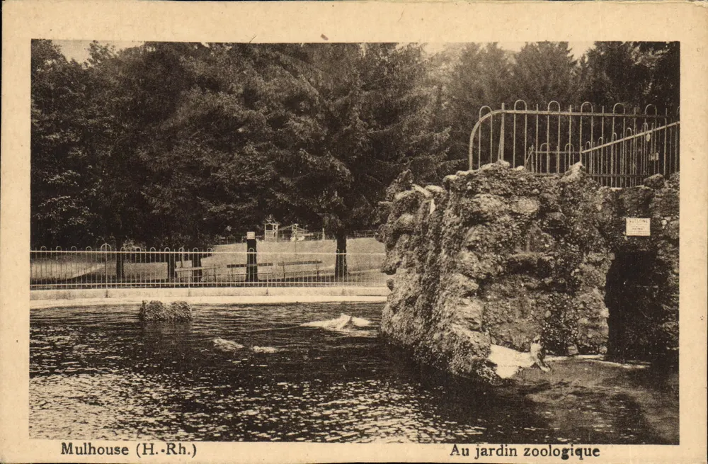 Mulhouse (H.-Rh.) — Im Zoologischen Garten — Maison d'édition d'Art alsacien, Strasbourg - Vorderseite