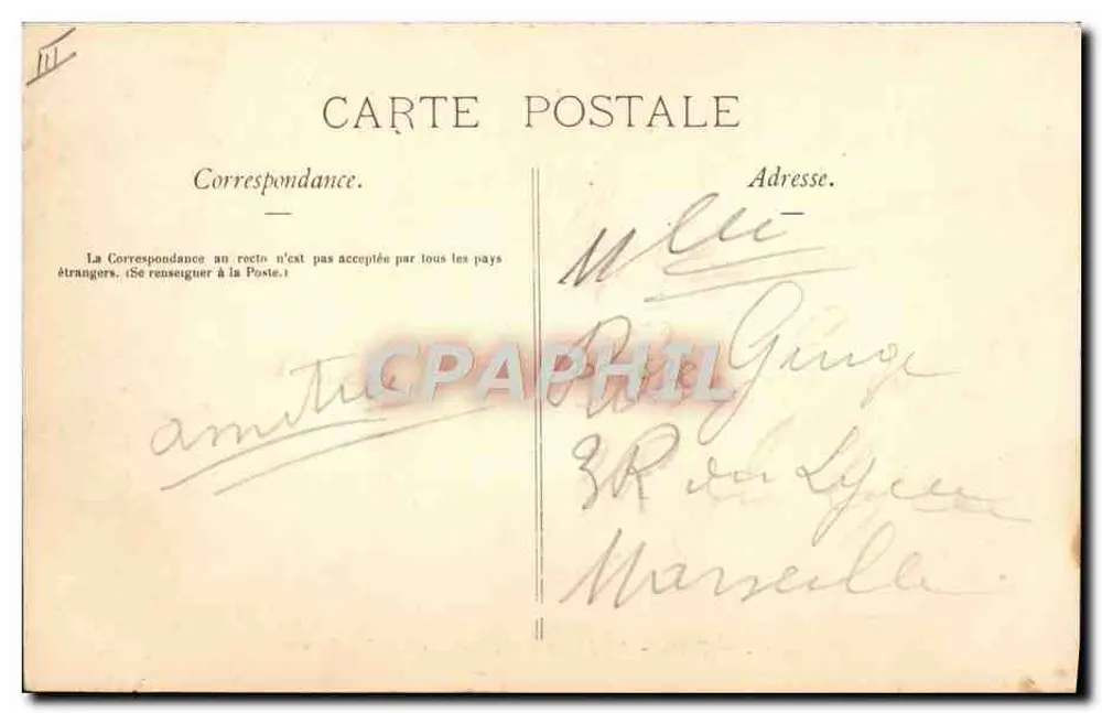Paris - Im Jardin des Plantes - Die Nandus - Rückseite