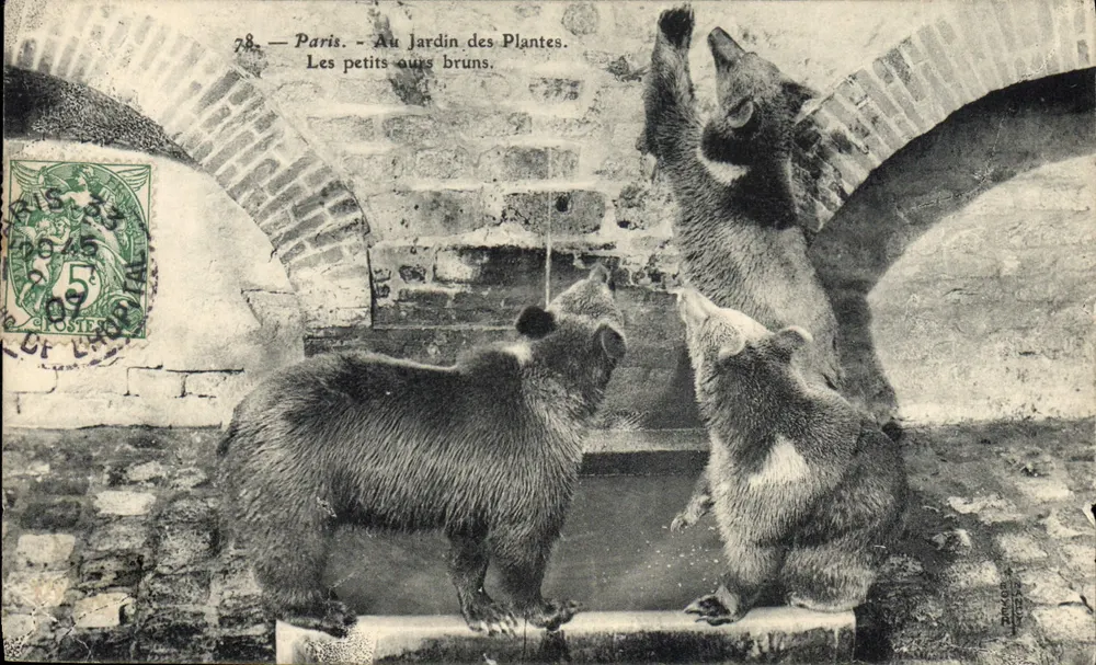 Paris — Im Jardin des Plantes. Die kleinen Braunbären — Verlag: 'Postes' (Nr. 78) - Vorderseite