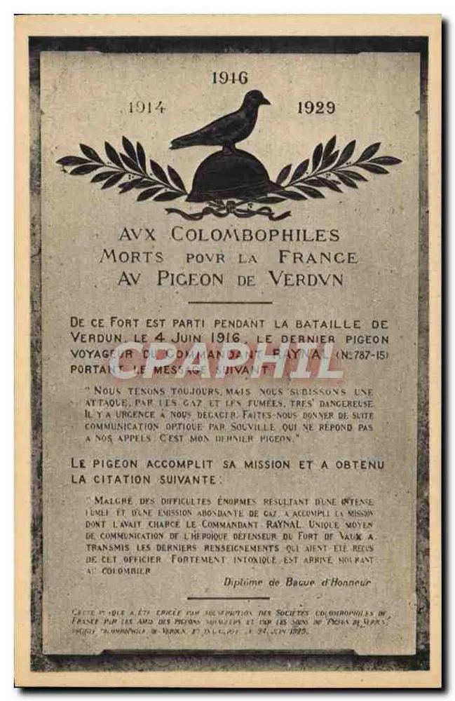 Fort de Vaux — Letzter Botschaftspapagei des Kommandanten Raynal — Edition Verdun - Vorderseite