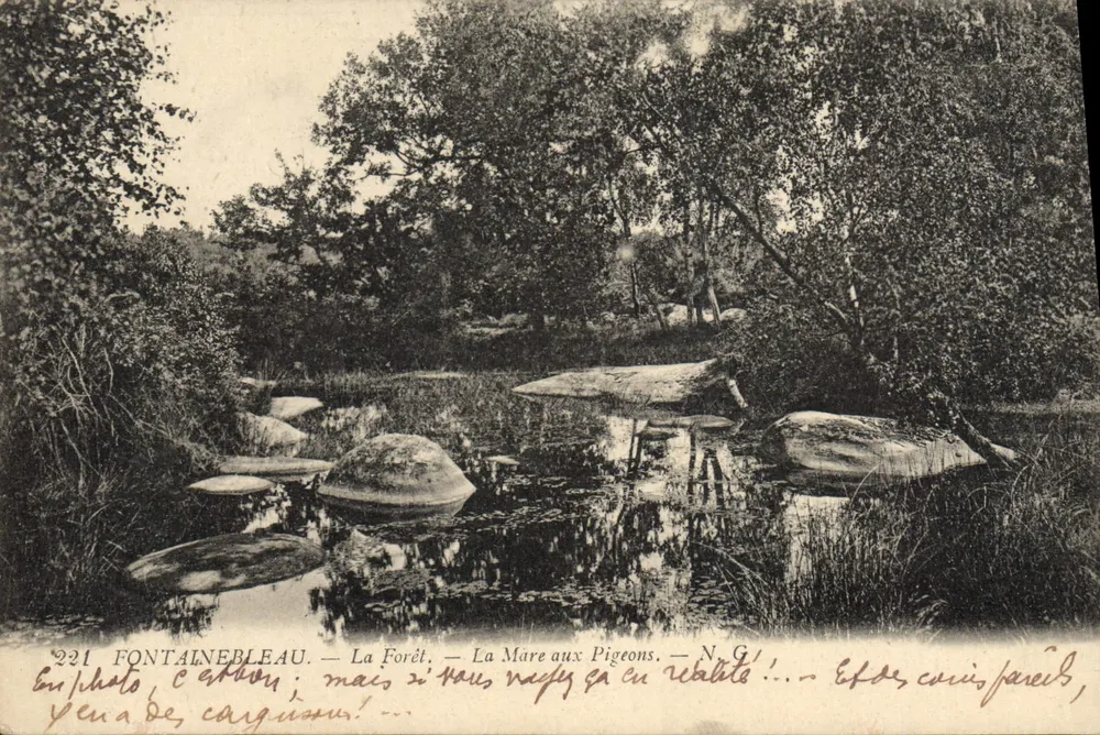 Fontainebleau — Die Forêt — Die Mare aux Pigeons — N.G. — Nr. 221 - Vorderseite