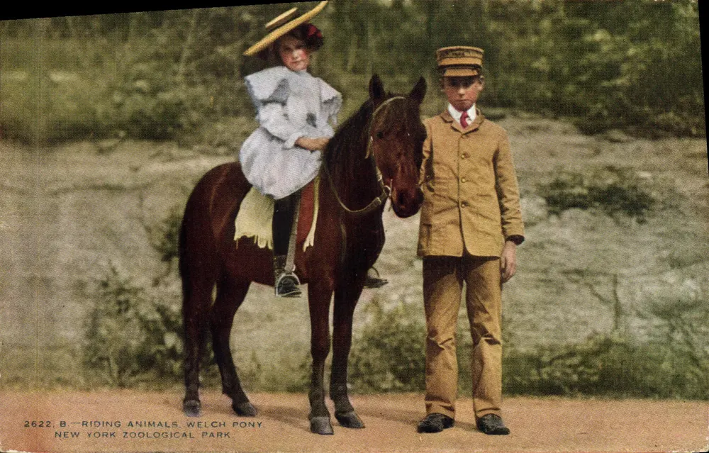 Frau und Junge mit einem Pony — New York Zoological Park — Quadrini-Color Co. - Vorderseite