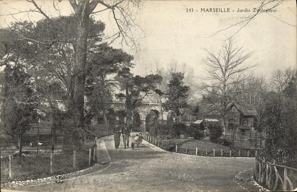 Marseille - Jardin Zoologique — Ansicht des Parks mit Allee und Besuchern — Verlag Les Dames de Bon-Secours, n° 243 - Vorderseite