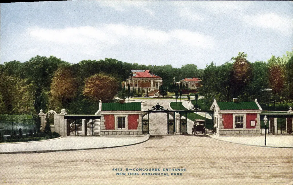 Eingang zum Concourse — New York Zoological Park — Verlag NYZP, Nr. 4473 B - Vorderseite