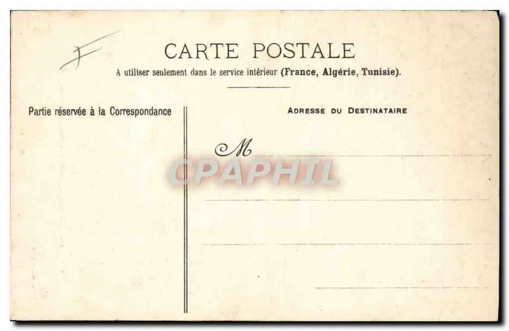 Jardin des Plantes - Bär — P. HELMLINGER & CIE, IMP. PHOT. NANCY, n° 128 - Rückseite