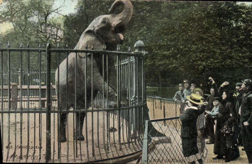 L'Éléphant — scène au zoo — éditeur L. V. & Cie, Frada, n°102 - Frente