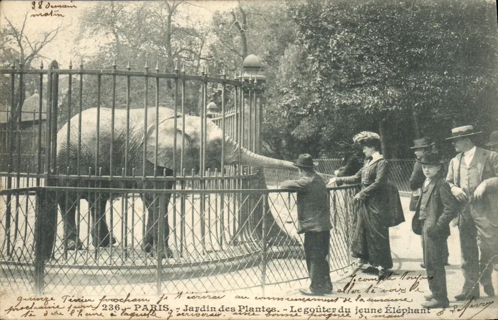 Jardin des Plantes — Das Snack des jungen Elefanten — Garnier & Tézier, n° 236 - Vorderseite
