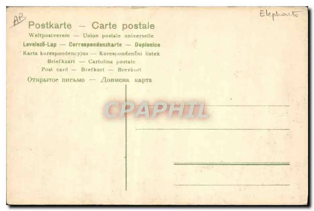 Grande Exposition "India" — scène avec éléphants décorés et personnes en tenue traditionnelle — éditeur NATALIN PESZALI, DRESDE - Verso
