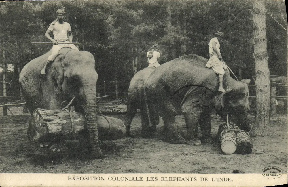 Exposition coloniale — Les éléphants de l'Inde — éditeur A. Dresden - Frente