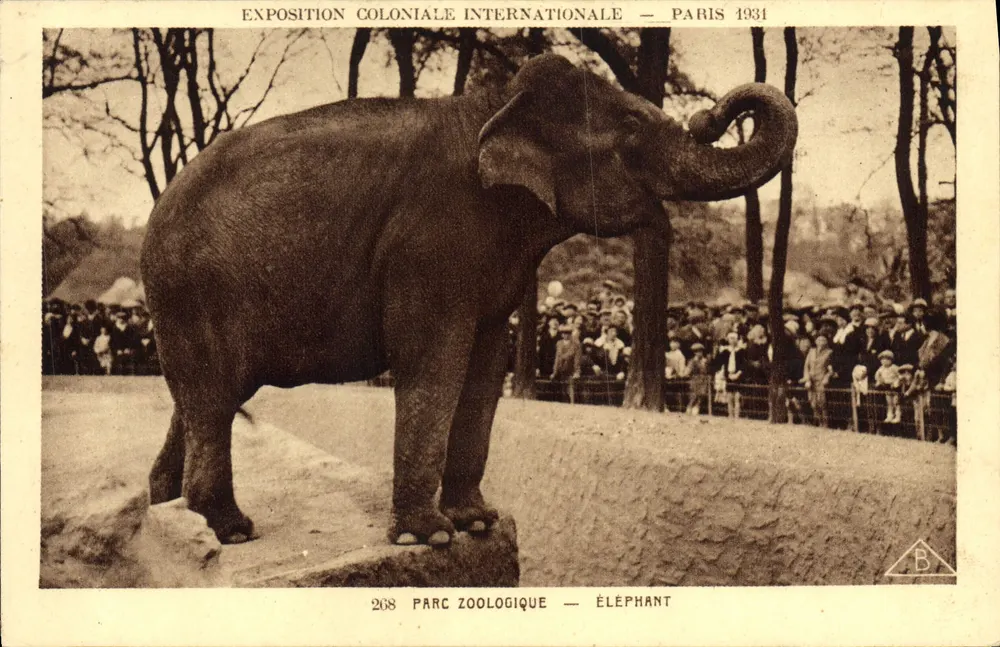 Zoo-Park — Elefant — Internationale Kolonialausstellung — Paris 1931 - Vorderseite