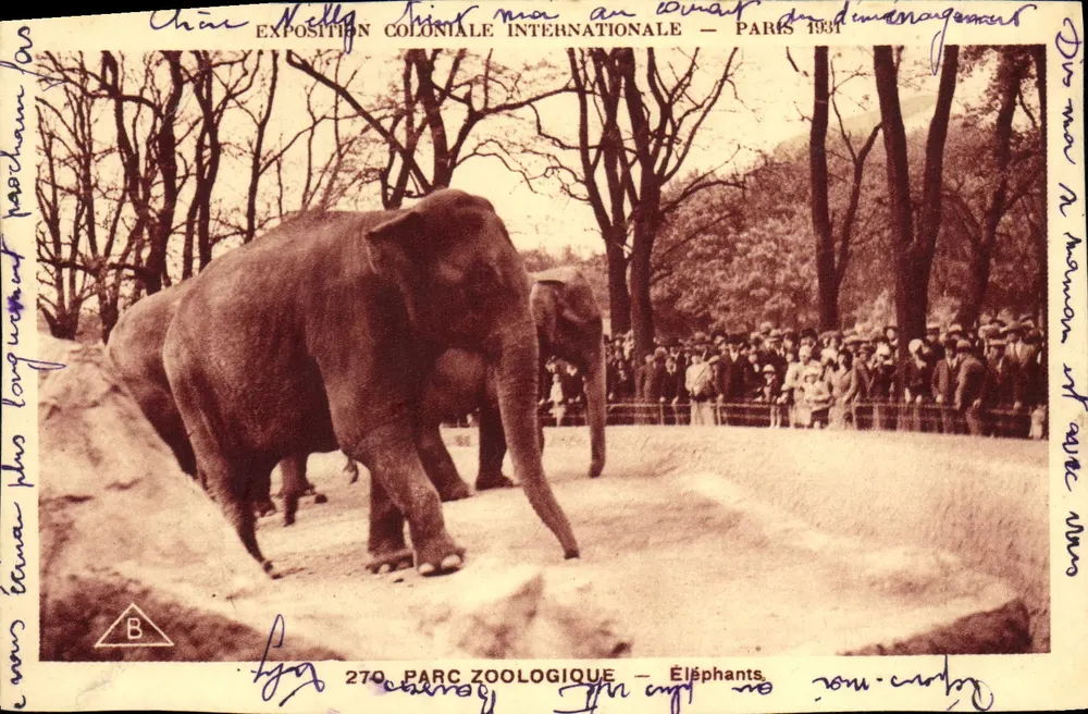 Parco Zoologico — Elefanti — Esposizione Coloniale Internazionale — Parigi 1931 - Recto