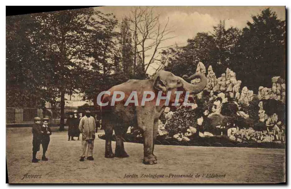 Antwerpen - Zoologischer Garten - Elefantenpromenade - Vorderseite