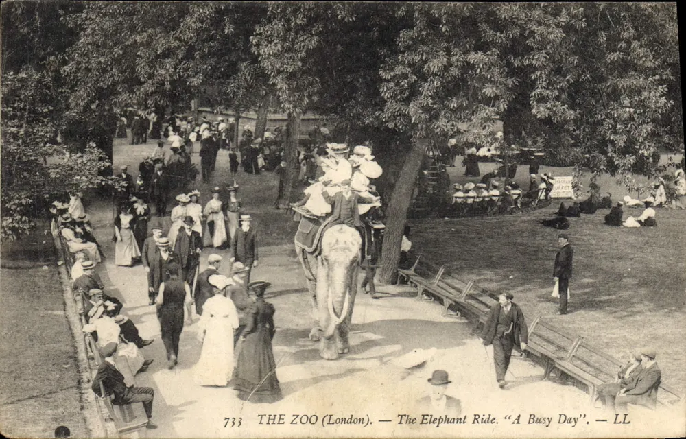 DER ZOO (London) — Das Elefantenreiten. "Ein beschäftigter Tag" — LL - Vorderseite