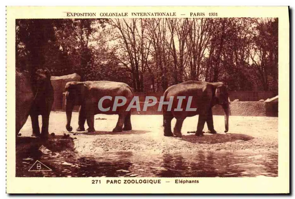 Zoo-Park — Elefanten — Internationale Kolonialausstellung — Paris 1931 - Vorderseite