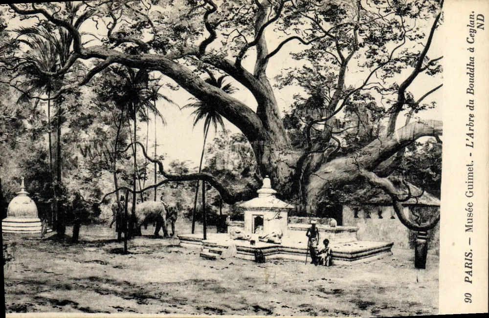 Der Buddha-Baum in Ceylon — Museum Guimet — Paris, ND - Vorderseite