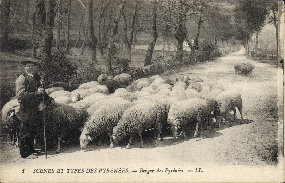 Pastor dos Pirineus — Cenas e Tipos dos Pirineus — LL. - Frente