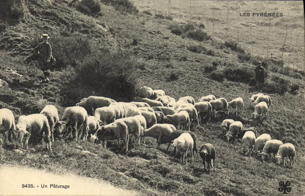 Os Pirineus — Um Piquenique — Editor não identificado, número de série 3435 - Frente