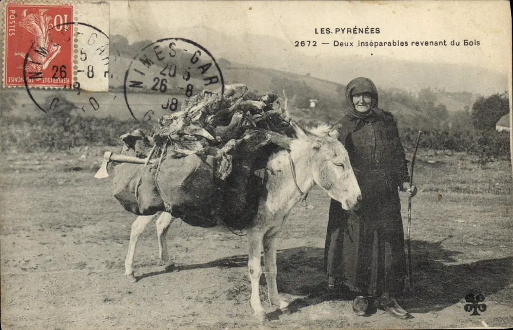 Os Pirineus — Dois inseparáveis voltando do Bosque — editor não visível, n° 2672 - Frente