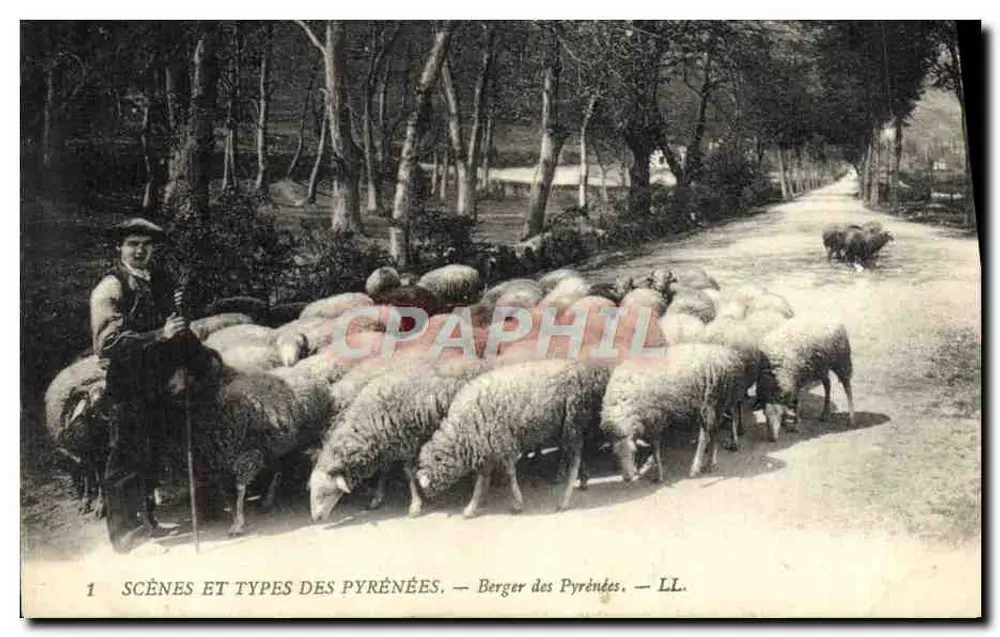 Pastor dos Pirineus — Cenas e tipos dos Pirineus — LL. - Frente