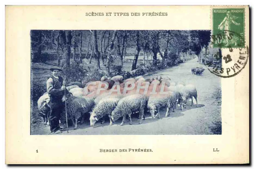 Pastor das Pirineus — Cenas e Tipos das Pirineus — LL - Frente