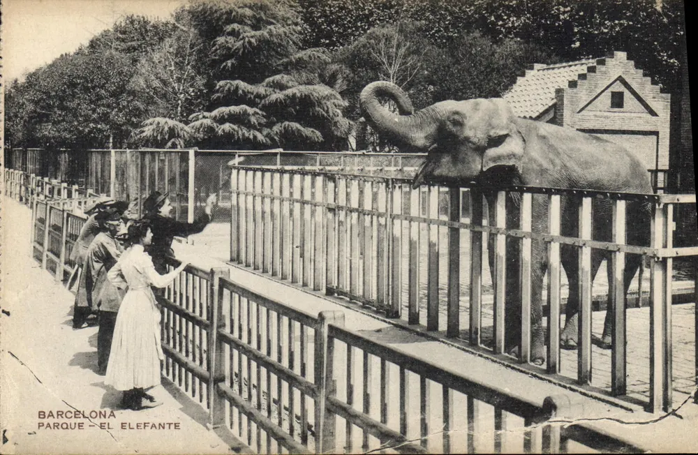 Barcelona - Park van de Olifant — Olifant achter een hek, bezoekers die kijken — uitgever niet zichtbaar - Voorkant