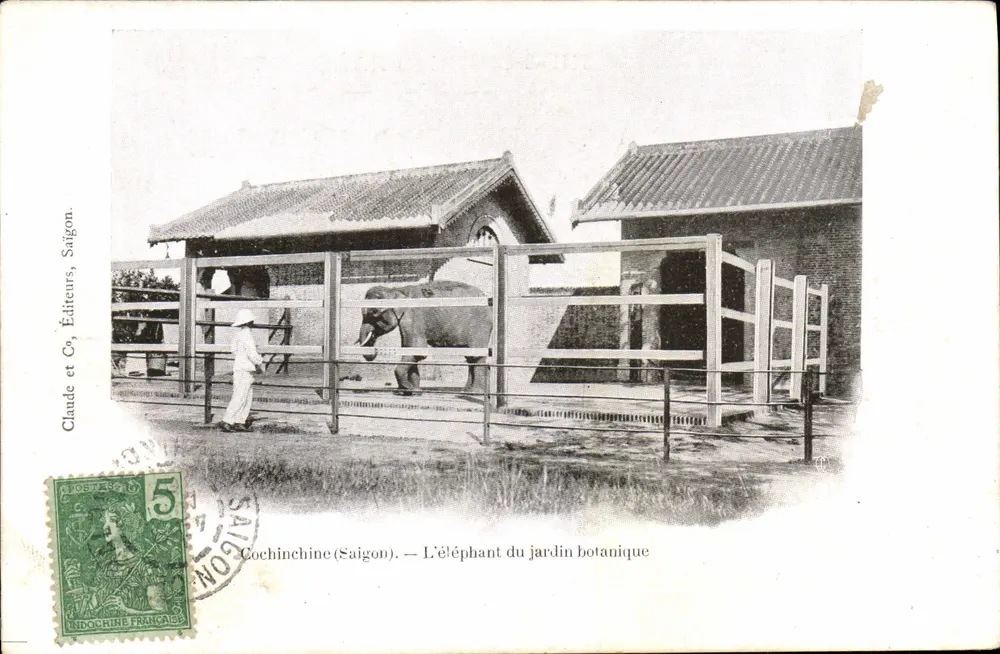 Cochinchine (Saigon) — Der Elefant im botanischen Garten — Claude et C°, Verleger, Saigon - Vorderseite