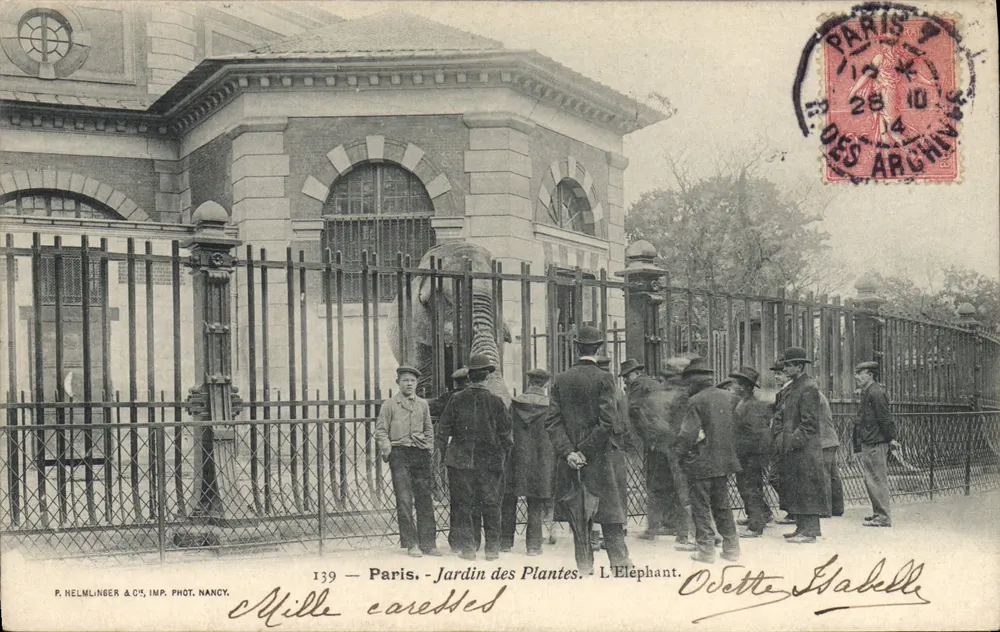París - Jardín de las Plantas - El Elefante — P. Helmlinger & Cie, Imp. Fot. Nancy, n°139 - Anverso