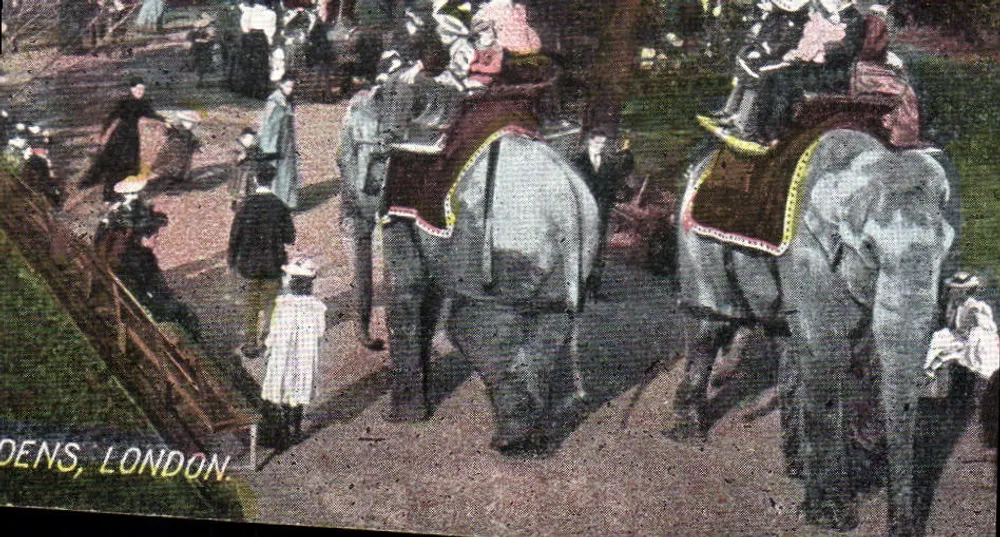 Éléphants en promenade — Jardin des Serres d'Apollon, Londres — éditeur non visible - Vorderseite