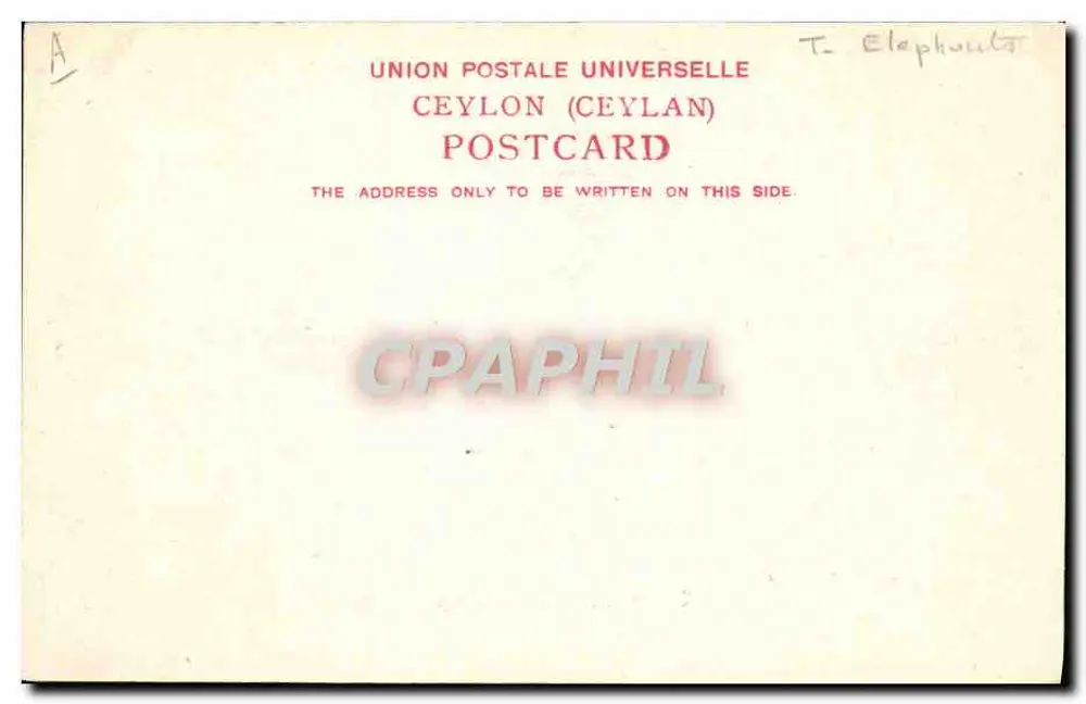 Ceylon — Elefanci w rzeczce — A. W. A. Piâté & Co. - Rewers