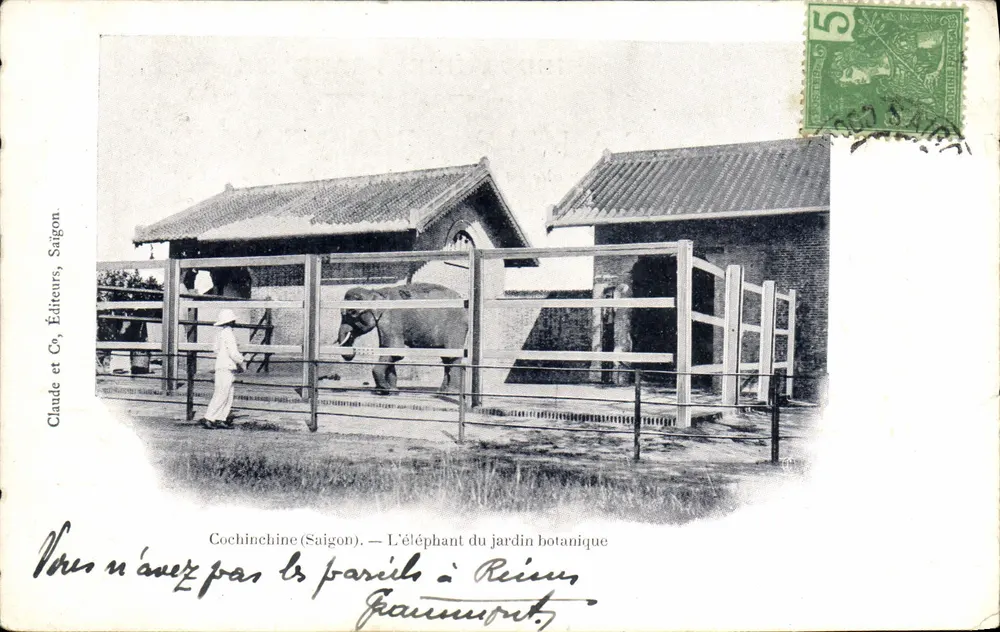 Cochinchine (Saigon) — Der Elefant des botanischen Gartens — Claude et C°, Verleger, Saigon - Vorderseite
