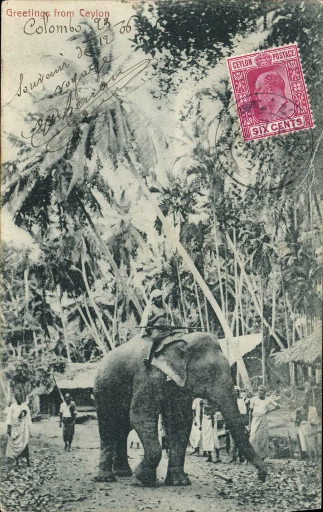 कोलंबो में एक हाथी - सियाल - एडिटर हिरे & कंपनी - आगे