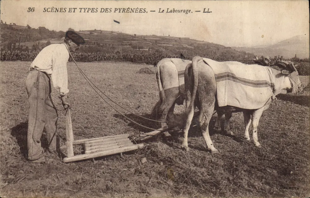 O Laboratório — Cenas e Tipos dos Pirineus — LL. - Frente