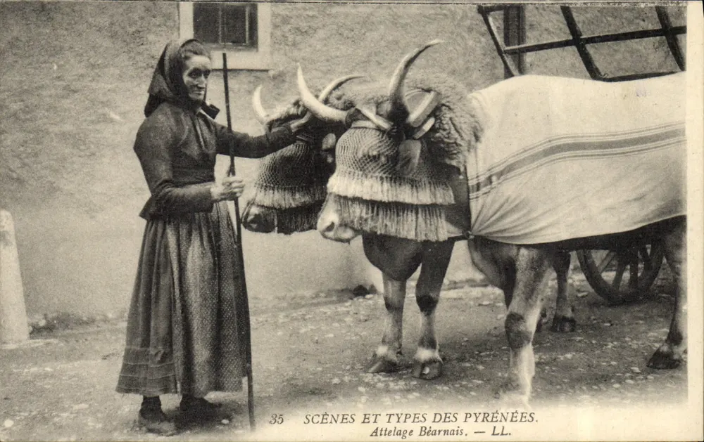 Attelage Béarnais — Cenas e Tipos dos Pirineus — LL. n°35 - Frente