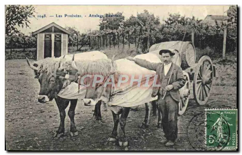 Os Pirineus - Atrelado Béarnês — G.C. 1048 - Frente