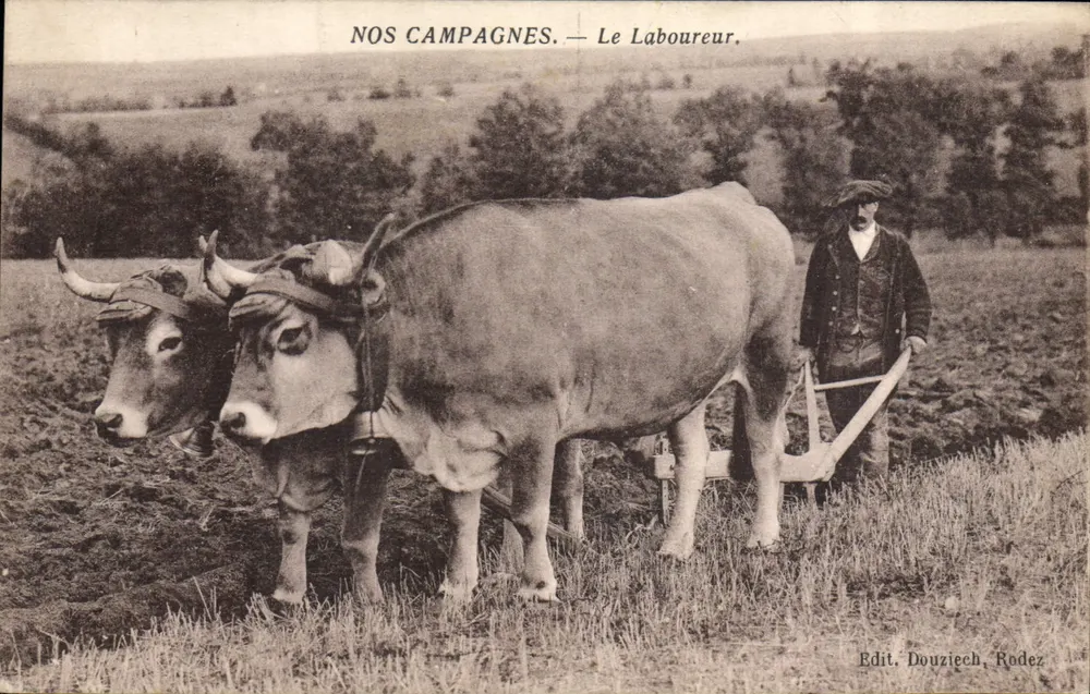 Nossas Campinas — O Lavrador — Edit. Douzièch, Rodez - Frente
