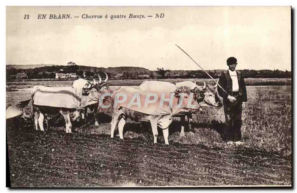 In Béarn — Vier-Ochsen-Pflug — ND - Vorderseite